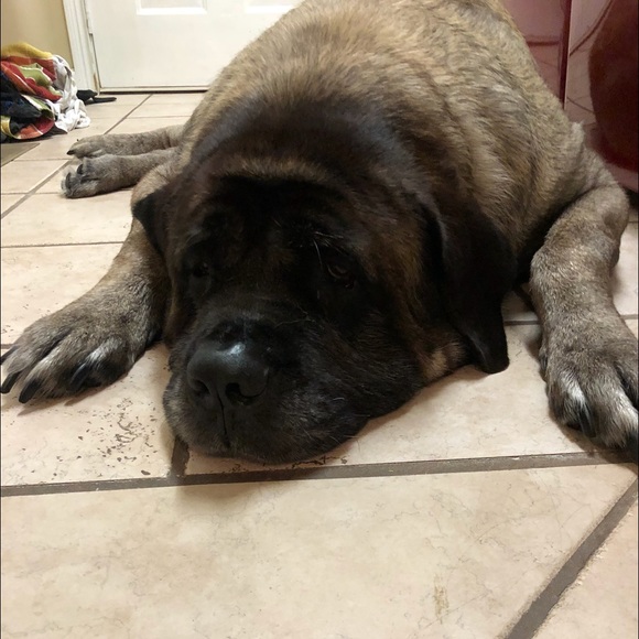 Meet your Posher, Jason - Picture 2 of 5